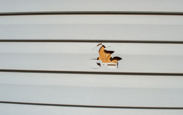 Cost of Siding Hole Patching in Champaign