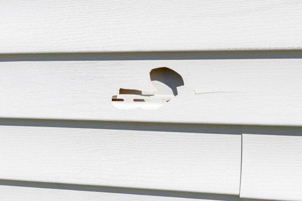 Cost of White Vinyl Siding Repair in Champaign