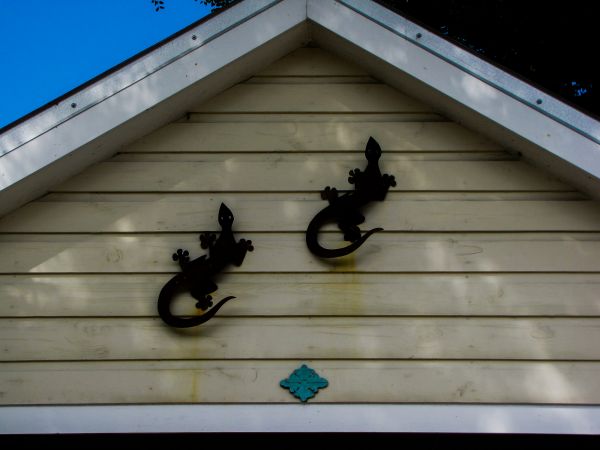 Cost of Shiplap Siding Installation in Champaign